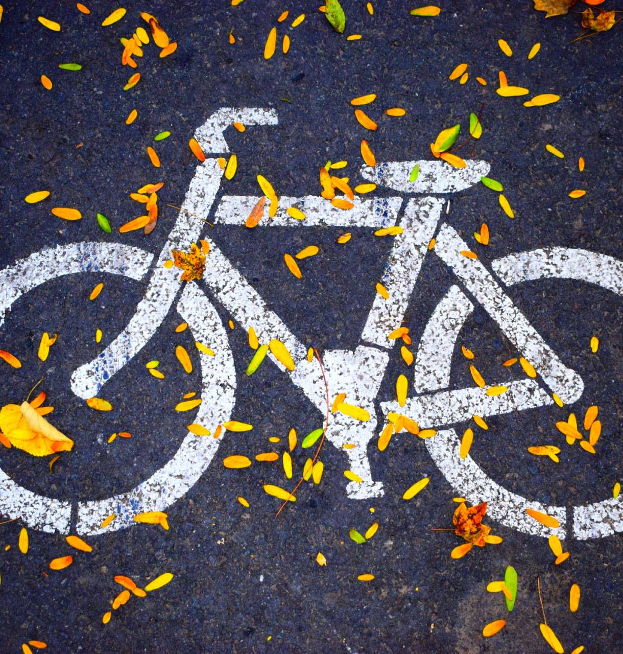 LA BICI D’INVERNO…